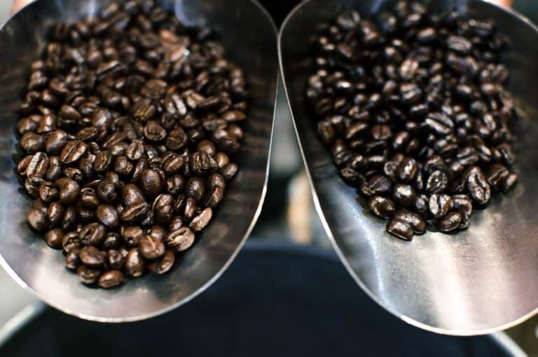 Arabica กาแฟที่เรารู้จักคืออะไร