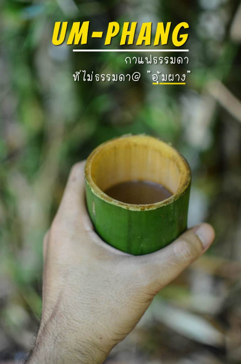 กาแฟธรรมชาติ บ่อน้ำร้อน อุ้มผาง