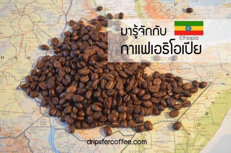 ethiopia Coffee กาแฟเอธิโอเปีย