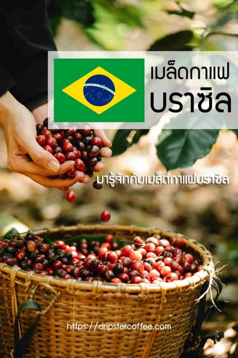 กาแฟบราซิล