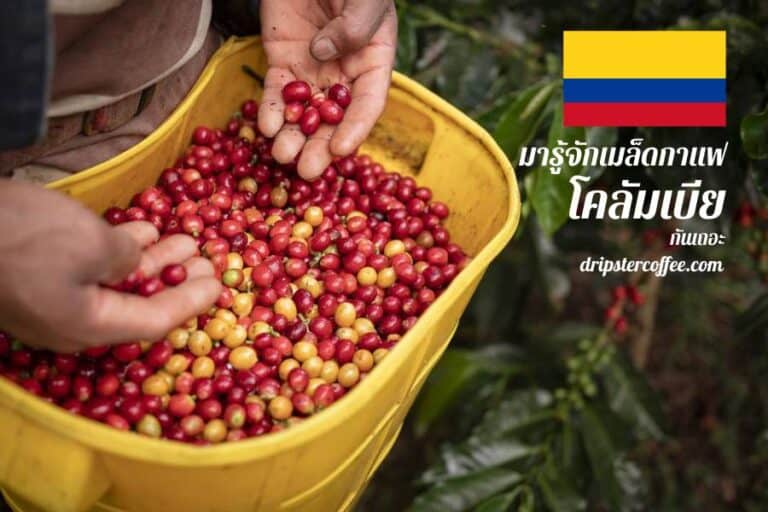 colombia-beans-coffee
