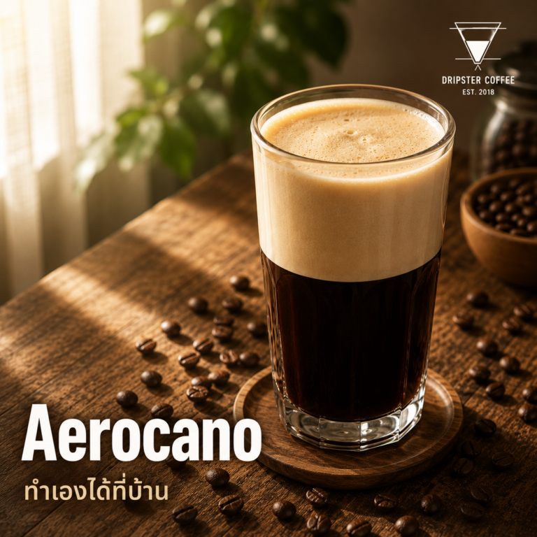 Aerocano คืออะไร? วิธีทำง่ายๆ ที่บ้าน ได้ฟองนุ่มเหมือน Starbucks