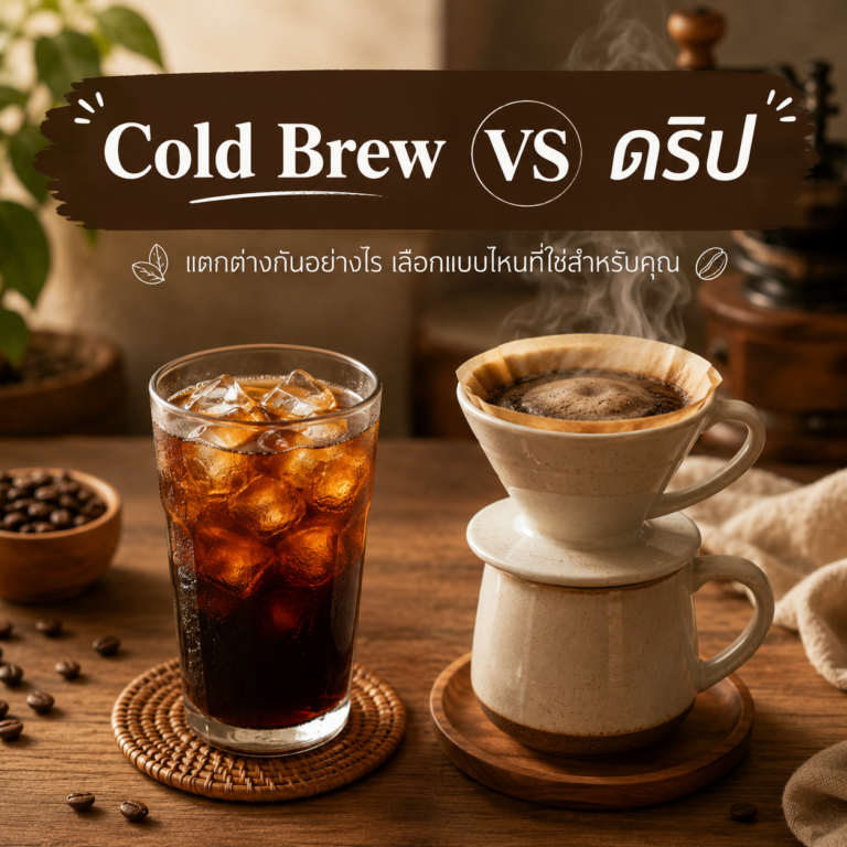 กาแฟ Cold Brew กับกาแฟดริป ต่างกันอย่างไร? รู้แล้วจะเลือกได้ถูก!