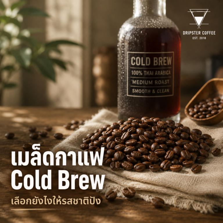 เมล็ดกาแฟสำหรับ Cold Brew ที่ดีที่สุด — เลือกยังไงให้รสชาติปัง