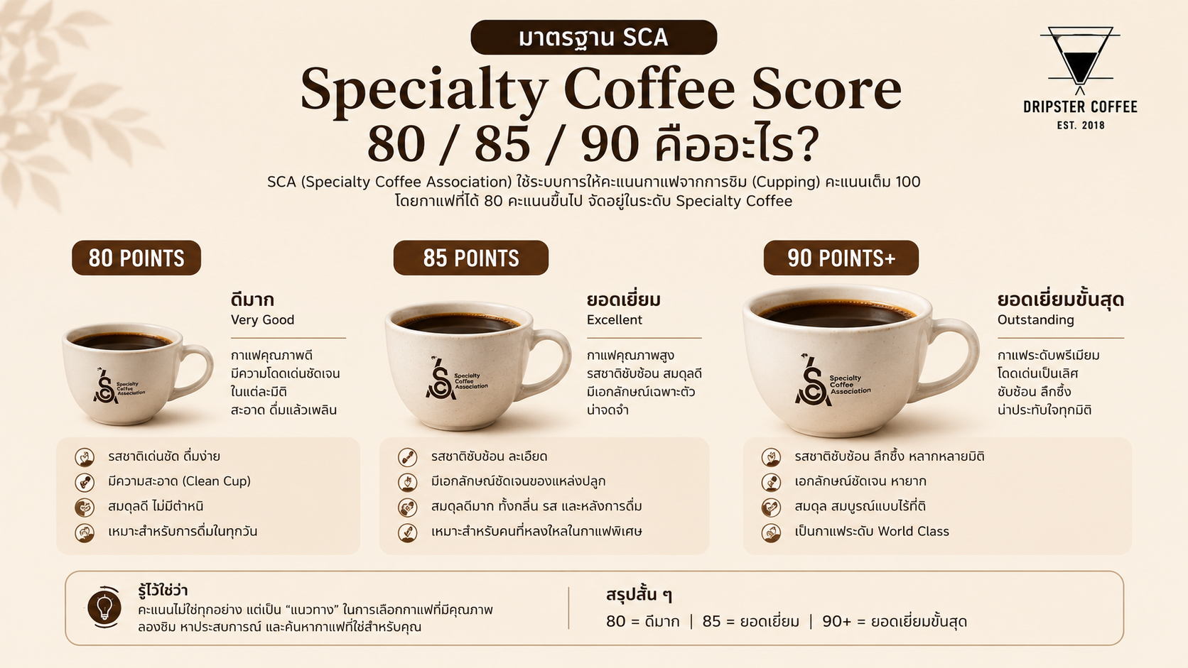 มาตรฐาน SCA คะแนน specialty coffee 80 85 90 คืออะไร มาตรฐาน SCA คะแนน specialty coffee 80 85 90 คืออะไร