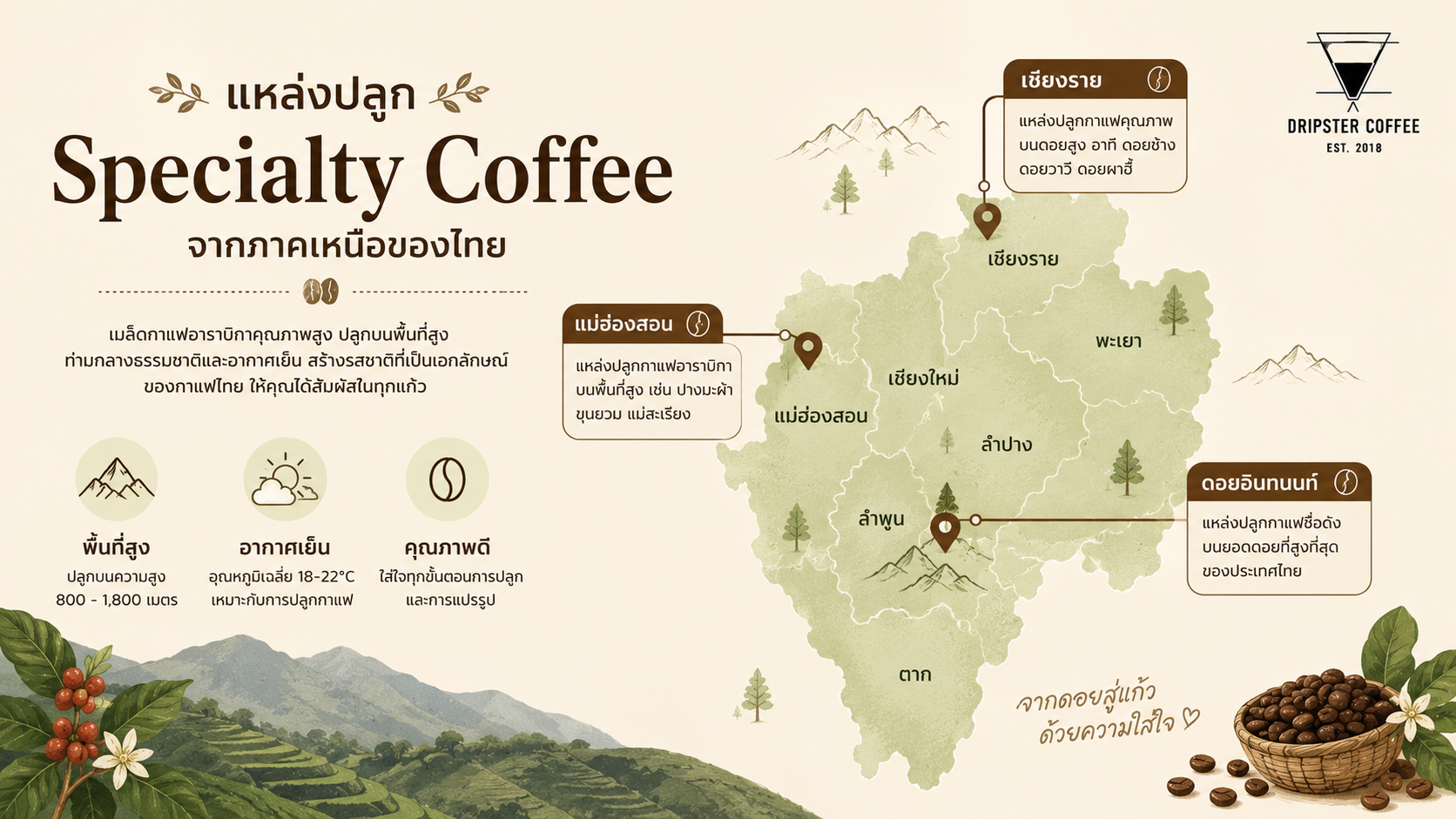 แผนที่แหล่งปลูก specialty coffee ไทย เชียงราย ดอยอินทนนท์ แม่ฮ่องสอน แผนที่แหล่งปลูก specialty coffee ไทย เชียงราย ดอยอินทนนท์ แม่ฮ่องสอน