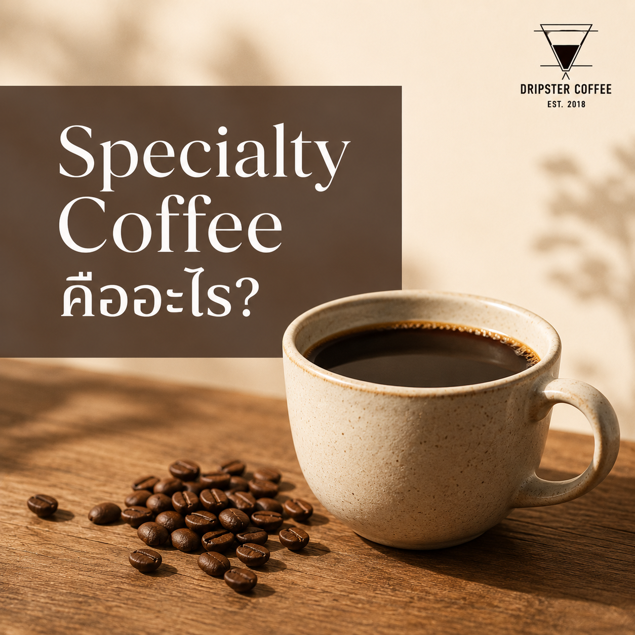 Specialty Coffee คืออะไร เมล็ดกาแฟพรีเมียมสำหรับมือใหม่ Specialty Coffee คืออะไร เมล็ดกาแฟพรีเมียมสำหรับมือใหม่