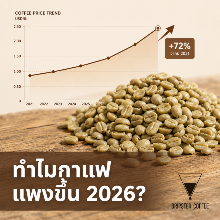 ทำไมกาแฟแพงขึ้นในปี 2026? โลกร้อนกระทบราคากาแฟแค่ไหน