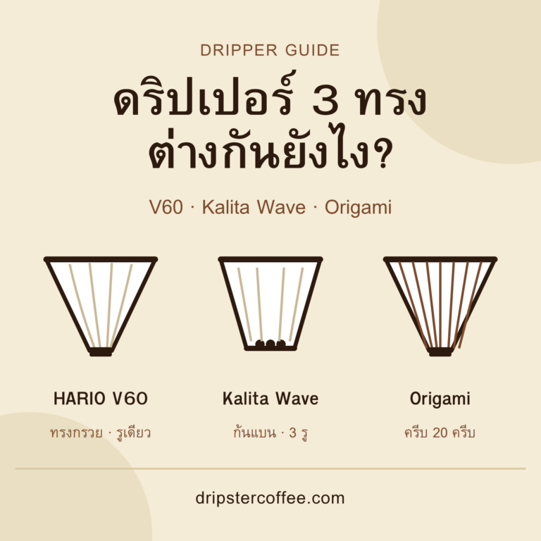 เปรียบเทียบดริปเปอร์ 3 ทรง HARIO V60 Kalita Wave และ Origami