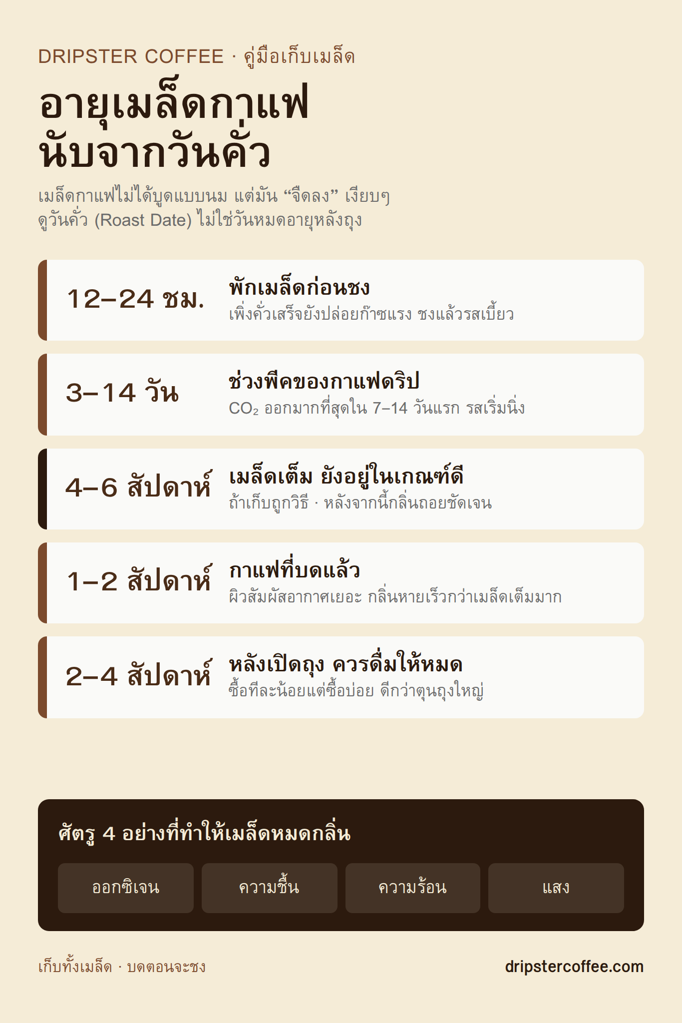 ตารางอายุเมล็ดกาแฟหลังวันคั่ว ตั้งแต่ช่วงพักเมล็ด 12-24 ชั่วโมง จนถึงช่วงที่ควรดื่มให้หมด