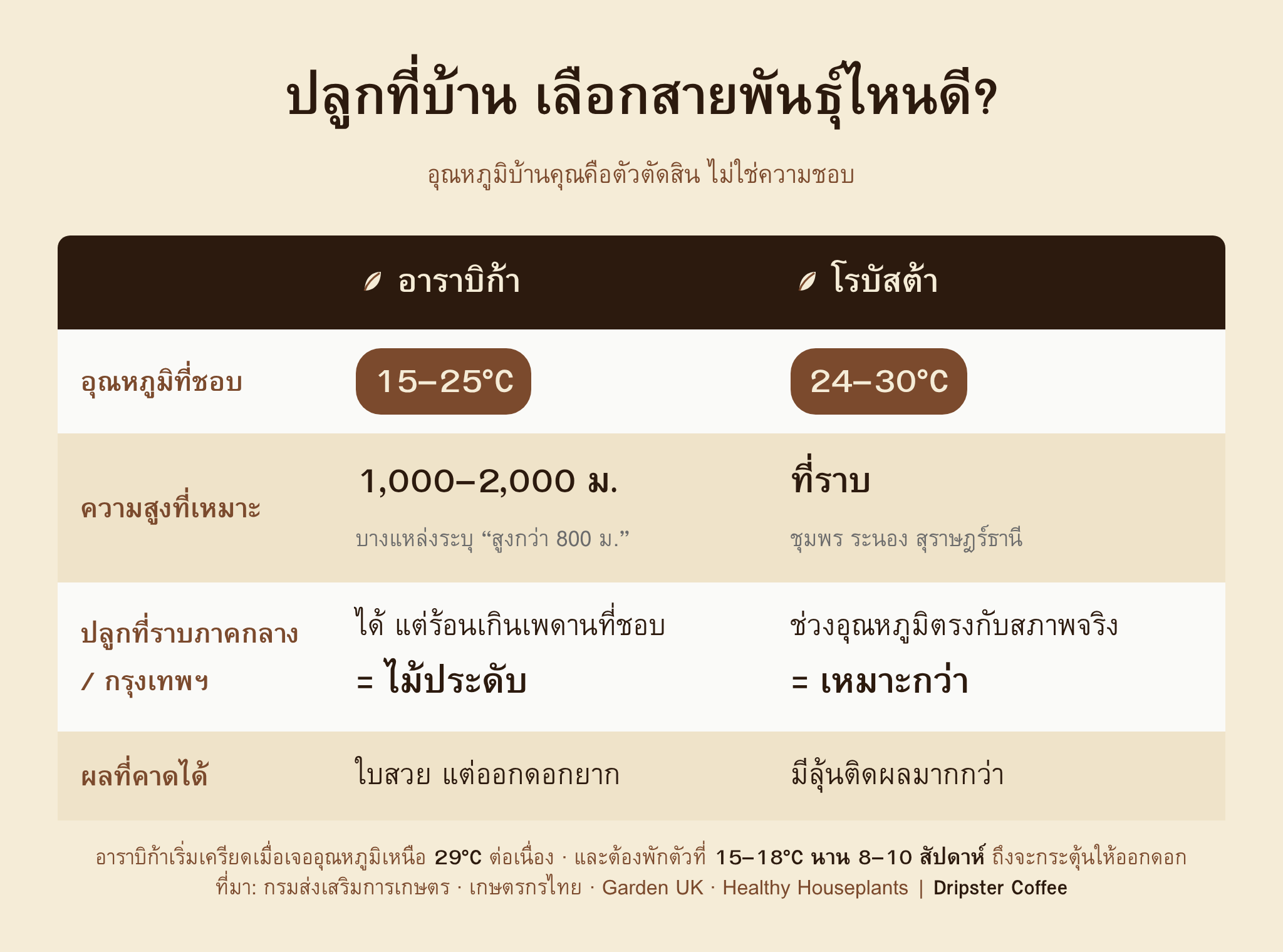 ตารางเทียบการปลูกต้นกาแฟอาราบิก้ากับโรบัสต้าที่บ้าน ทั้งอุณหภูมิที่ชอบ ความสูง และผลที่คาดได้