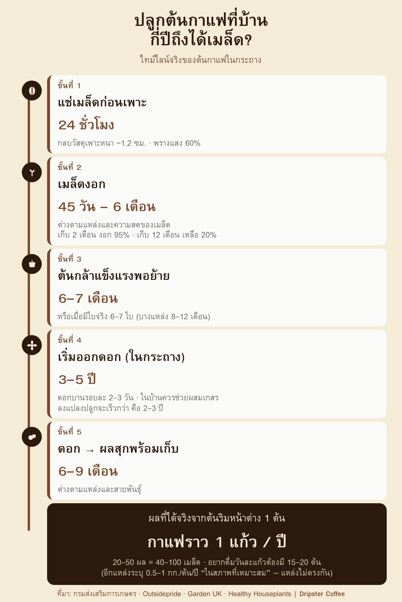 ไทม์ไลน์การปลูกต้นกาแฟที่บ้าน ตั้งแต่แช่เมล็ด 24 ชั่วโมง จนถึงดอกบานและผลสุก