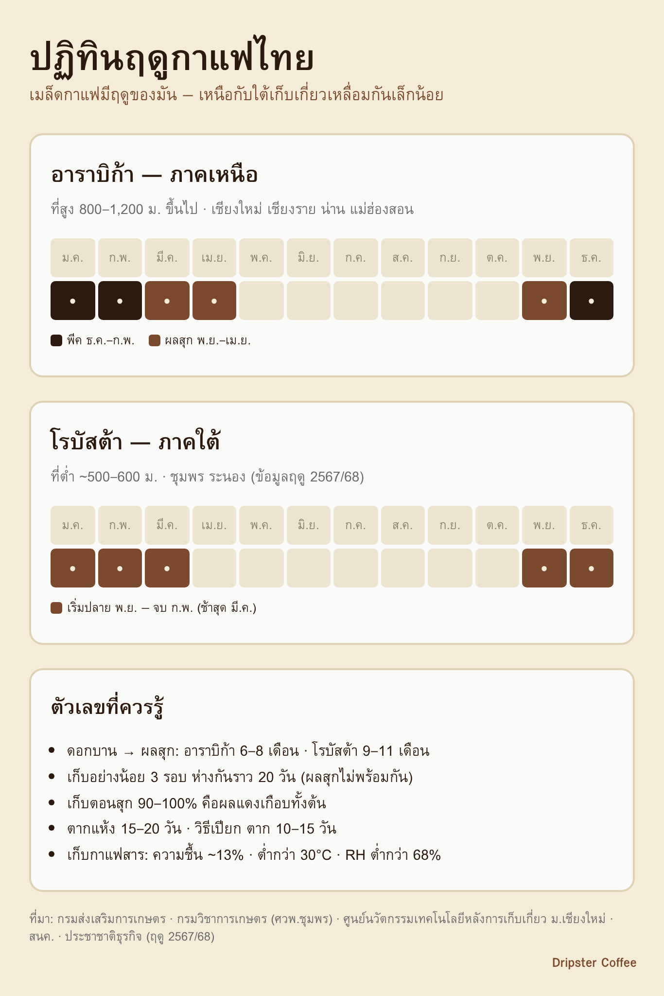 ปฏิทินฤดูกาแฟไทย เทียบอาราบิก้าภาคเหนือกับโรบัสต้าภาคใต้ รายเดือน